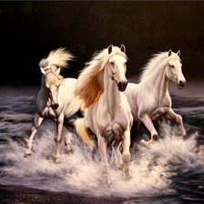 три коня