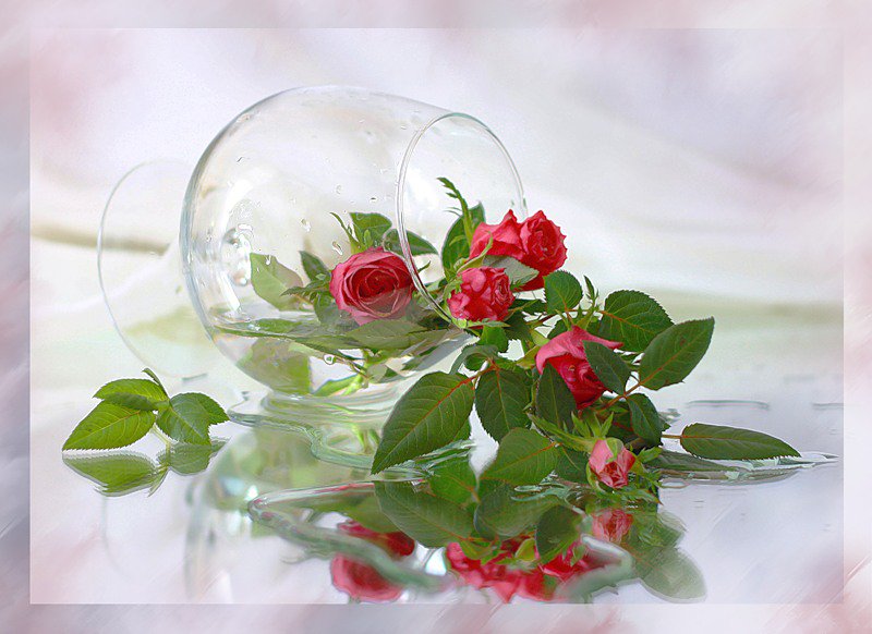 розы в бокале - цветы - оригинал