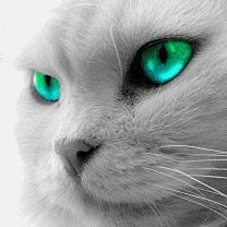 зеленоглазая - кошки - оригинал
