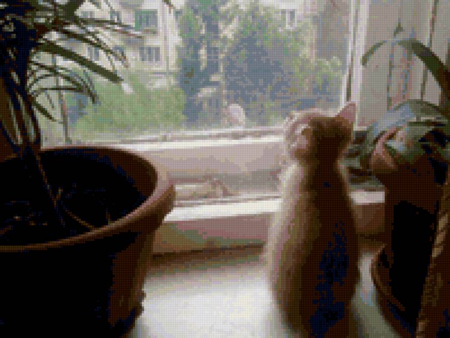 Задумчивый котенок (Симба) - предпросмотр