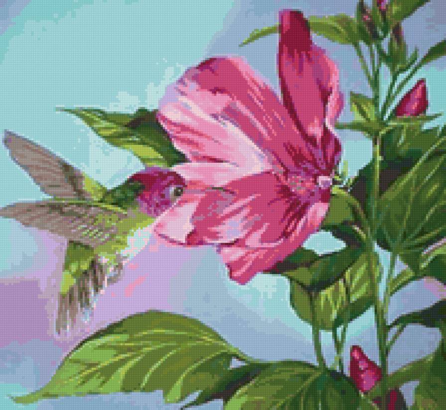 Kolibri - kolibri - предпросмотр