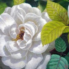 Оригинал схемы вышивки «белый цветок» (№8574)