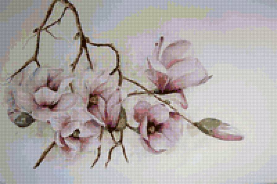 цветущая ветка магнолии - цветы - предпросмотр