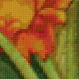 Предпросмотр схемы вышивки «тюльпаны» (№8605)
