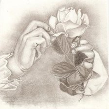 Rose_Drawing_small
