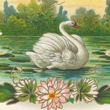 Оригинал схемы вышивки «Красивый белый лебедь)» (№8693)
