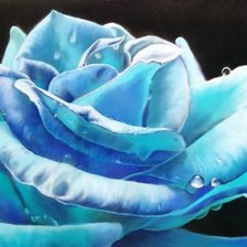 Оригинал схемы вышивки «Синяя роза» (№8849)