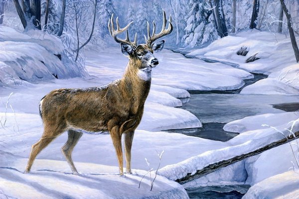 Зима - река, олени, животные, зима, пейзаж - оригинал