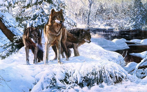 Серия "Волки" - животные, зима, волки, пейзаж, река - оригинал