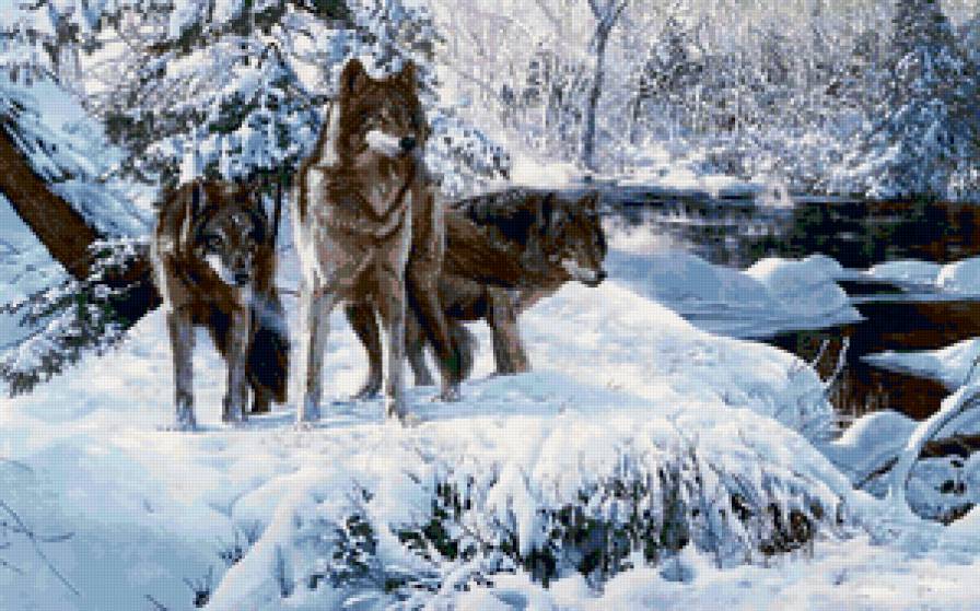 Серия "Волки" - животные, волки, зима, река, пейзаж - предпросмотр