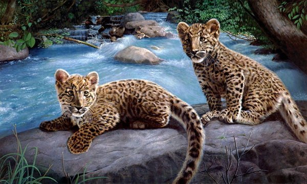 Серия "Большие кошки" - гепарды, животные, река, пейзаж - оригинал