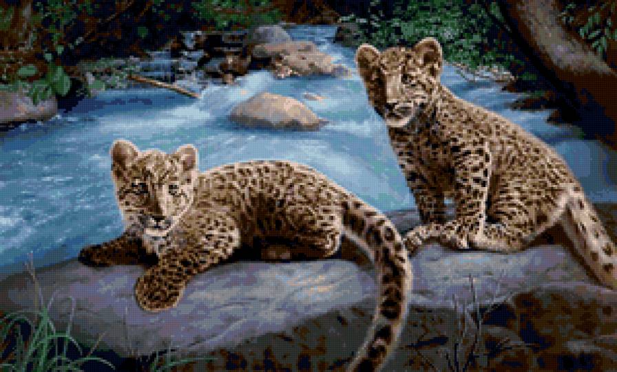 Серия "Большие кошки" - пейзаж, гепарды, животные, река - предпросмотр