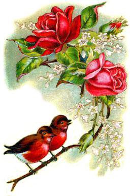 На розе - снегири, букет, розы, цветы, птицы - оригинал