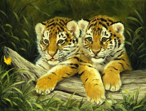 Милые тигрята) - животные, тигрята - оригинал