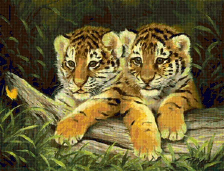 Милые тигрята) - животные, тигрята - предпросмотр