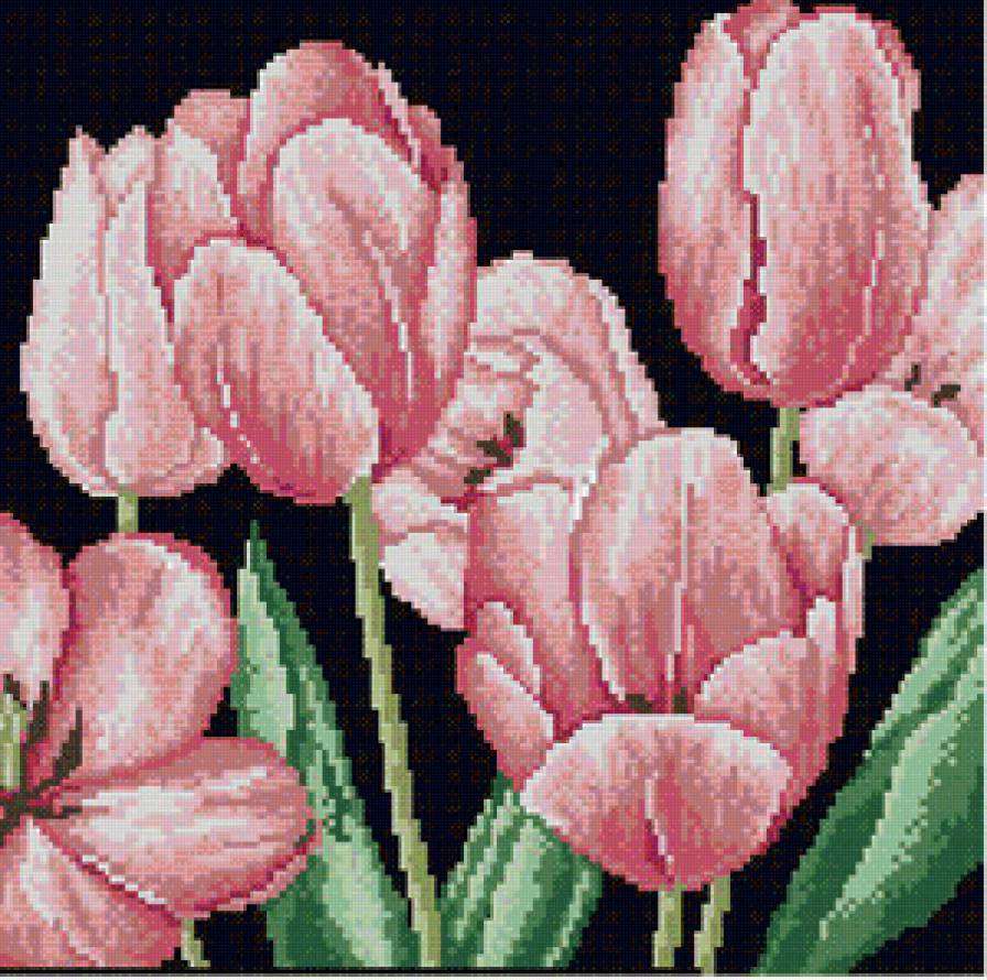 Тюльпаны) - flowers, цветы, тюльпаны - предпросмотр