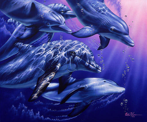 Серия "Дельфины" - дельфины, море, животные - оригинал