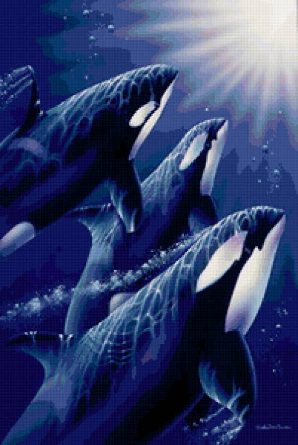 Серия "Дельфины" - животные, море, пейзаж, касатки, дельфины - предпросмотр