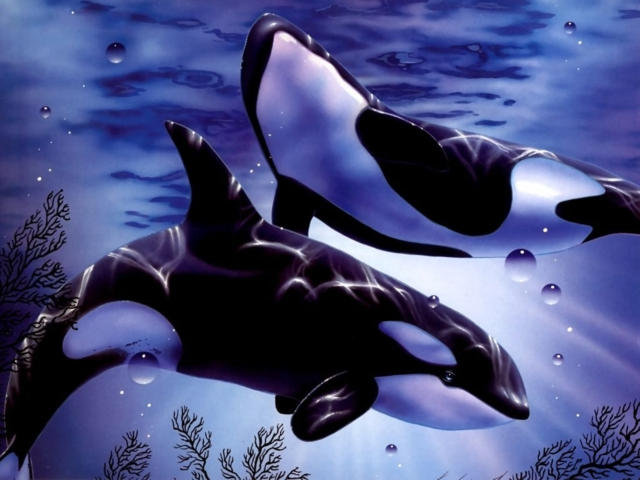 Серия "Дельфины" - дельфины, касатки, море, животные, пейзаж - оригинал