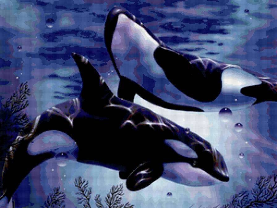 Серия "Дельфины" - море, дельфины, касатки, пейзаж, животные - предпросмотр