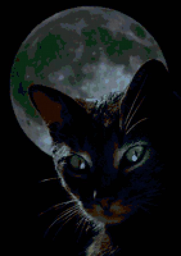 Ночная кошка - предпросмотр