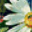 Предпросмотр схемы вышивки «букет полевых цветов» (№9854)