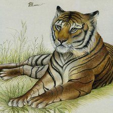 Оригинал схемы вышивки «тигр» (№9871)