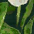 Предпросмотр схемы вышивки «тюльпаны» (№9970)