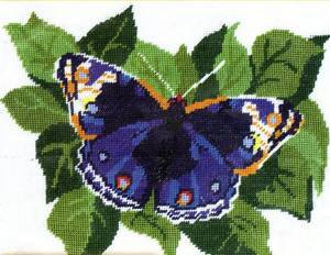 Бабочка, весна, красота - оригинал