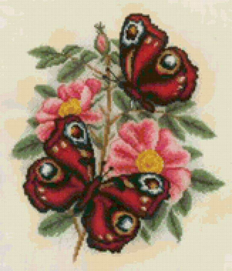 Бабочки и шиповник - полет, цветы, бабочки, шиповник, весна - предпросмотр