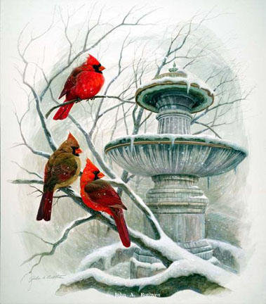 Снежные птички)) - птички, снег - оригинал