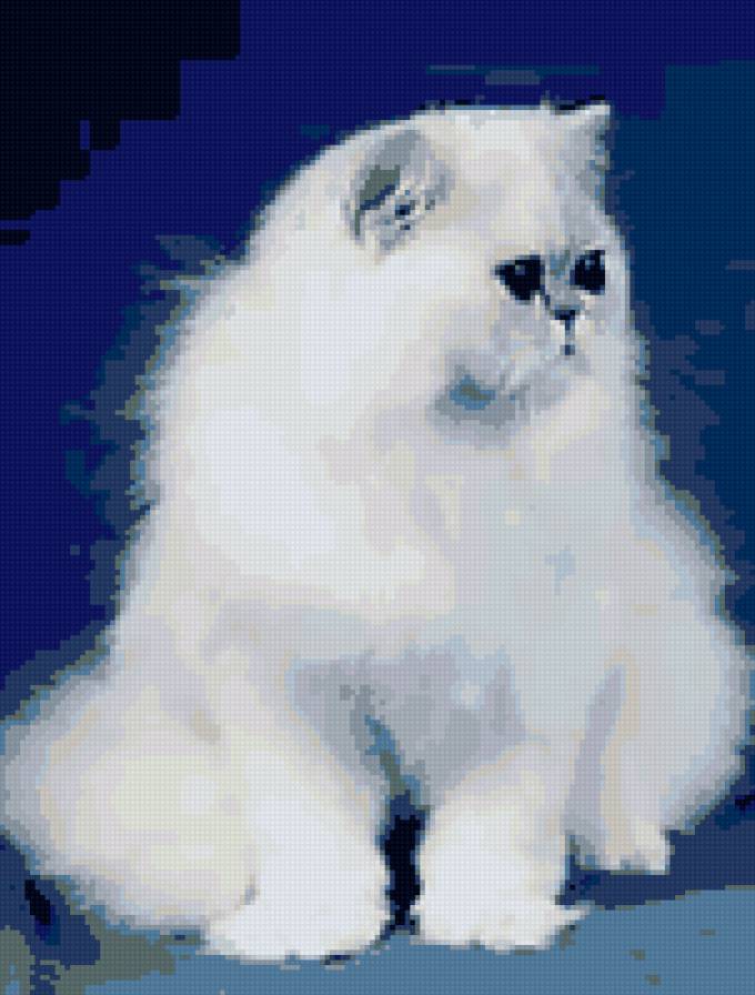 Дашка - кошка персидская, белая - предпросмотр