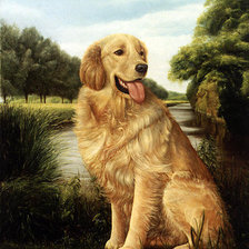 Оригинал схемы вышивки «Очень красивый портрет собачки)» (№10359)