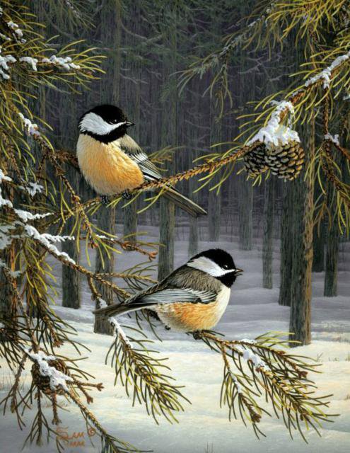 Милые птички в лесу)) - лес, птички - оригинал
