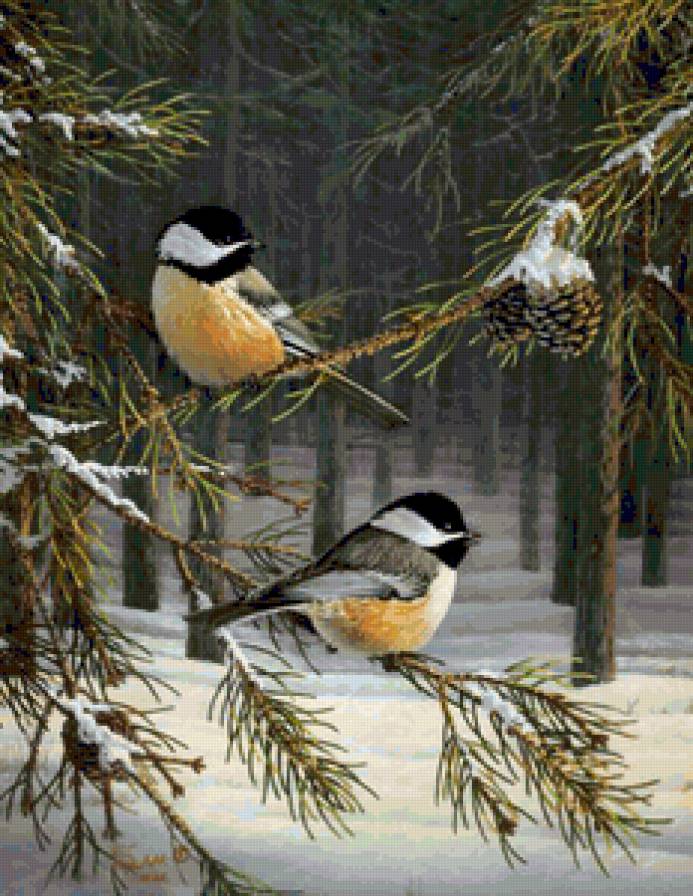 Милые птички в лесу)) - лес, птички - предпросмотр