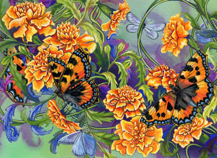 Бархатцы и бабочки - бархатцы, красота, бабочки, цветы и бабочки, цветы, лето - оригинал