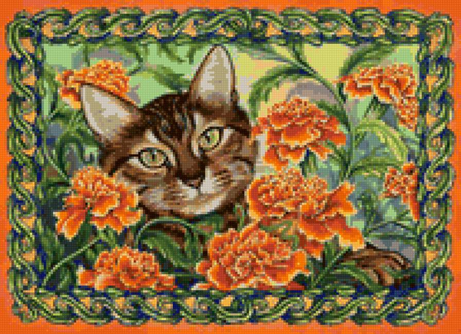 Кошки в цветах - бархатцы, кошки в цветах, лето, цветы, кошка, бабочки - предпросмотр
