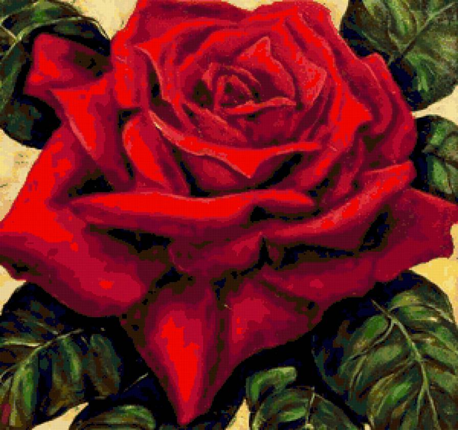 Яркая красная розочка) - роза, цветы, flowers, красная роза - предпросмотр