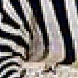 Предпросмотр схемы вышивки «зебра» (№10747)