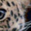 Предпросмотр схемы вышивки «леопард» (№10753)
