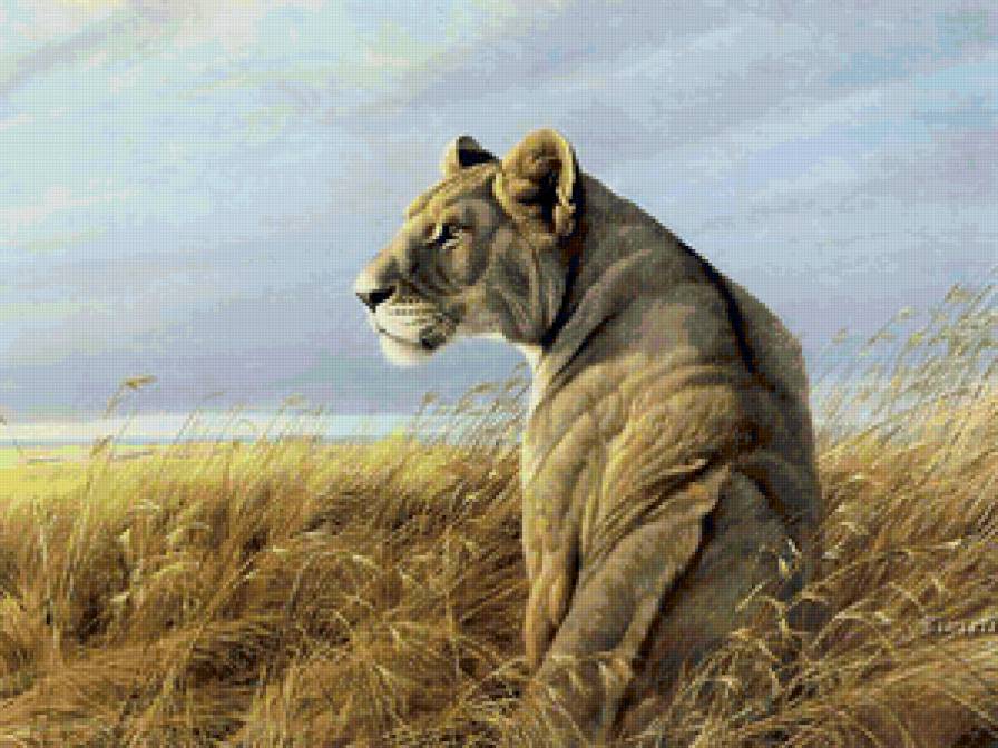 львица - животные - предпросмотр