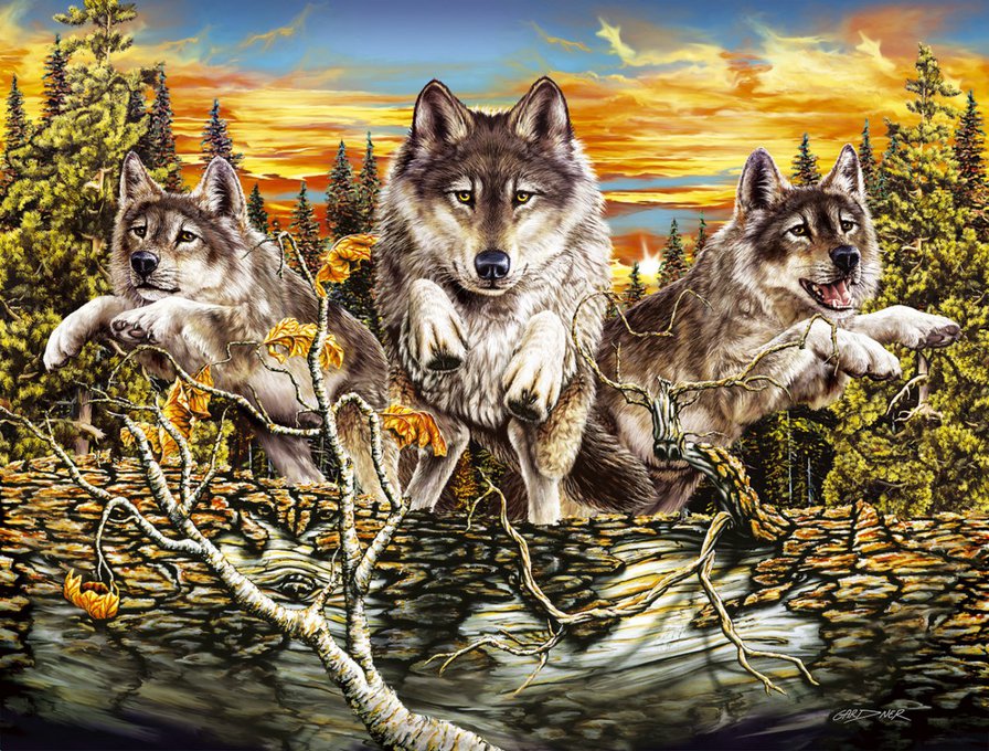 На охоте - волки, природа, анималисты, на охоте, животные - оригинал