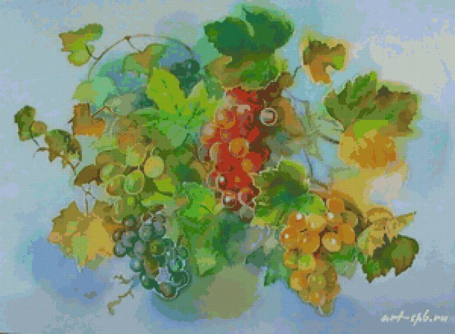 виноград - листья, гроздь, акварель, виноград - предпросмотр