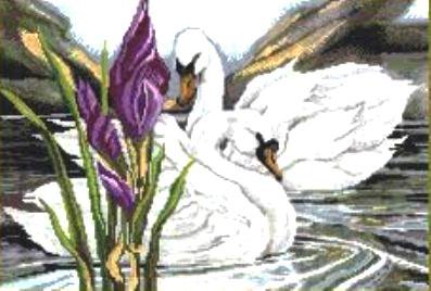 Лебеди - природа, цветы, лебедь, грация, лебеди, птицы, ирисы - оригинал
