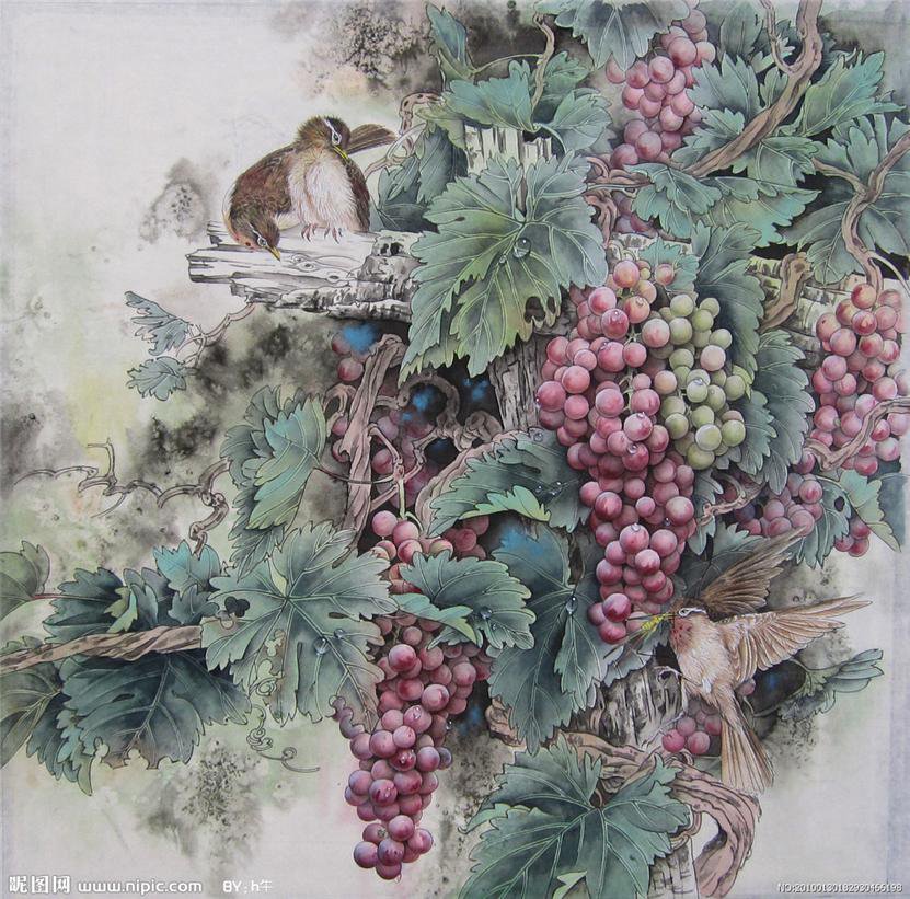 виноград и птицы - листья, птицы, грозди, виноград - оригинал