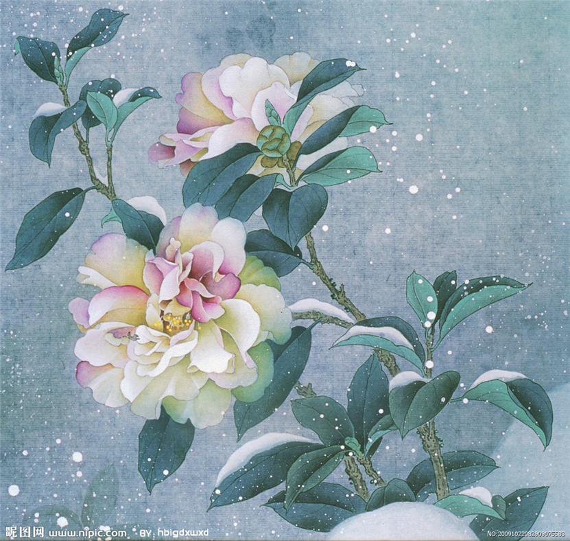 цветы - китай, снег, живопись, цветы - оригинал