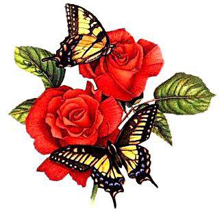бабочки на розах - оригинал