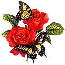 Оригинал схемы вышивки «бабочки на розах» (№12117)