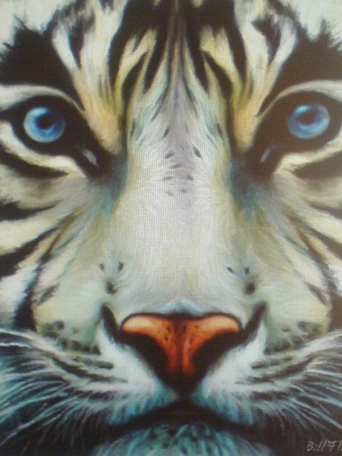 белый  тигр - природа, животные,  - оригинал