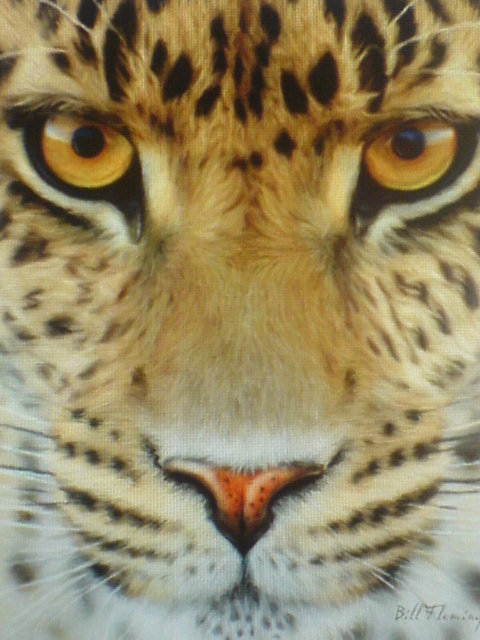 леопард - природа, животные - оригинал